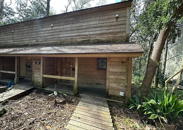 Convenient, Cozy, Cheap 5 Apartment *